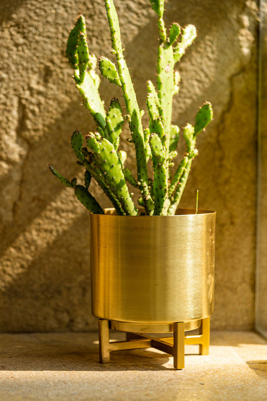 The Pitara Project Planter Gold with Gold Stand