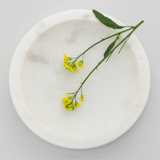 The White Indian Marble Mishmash Multipurpose Plate